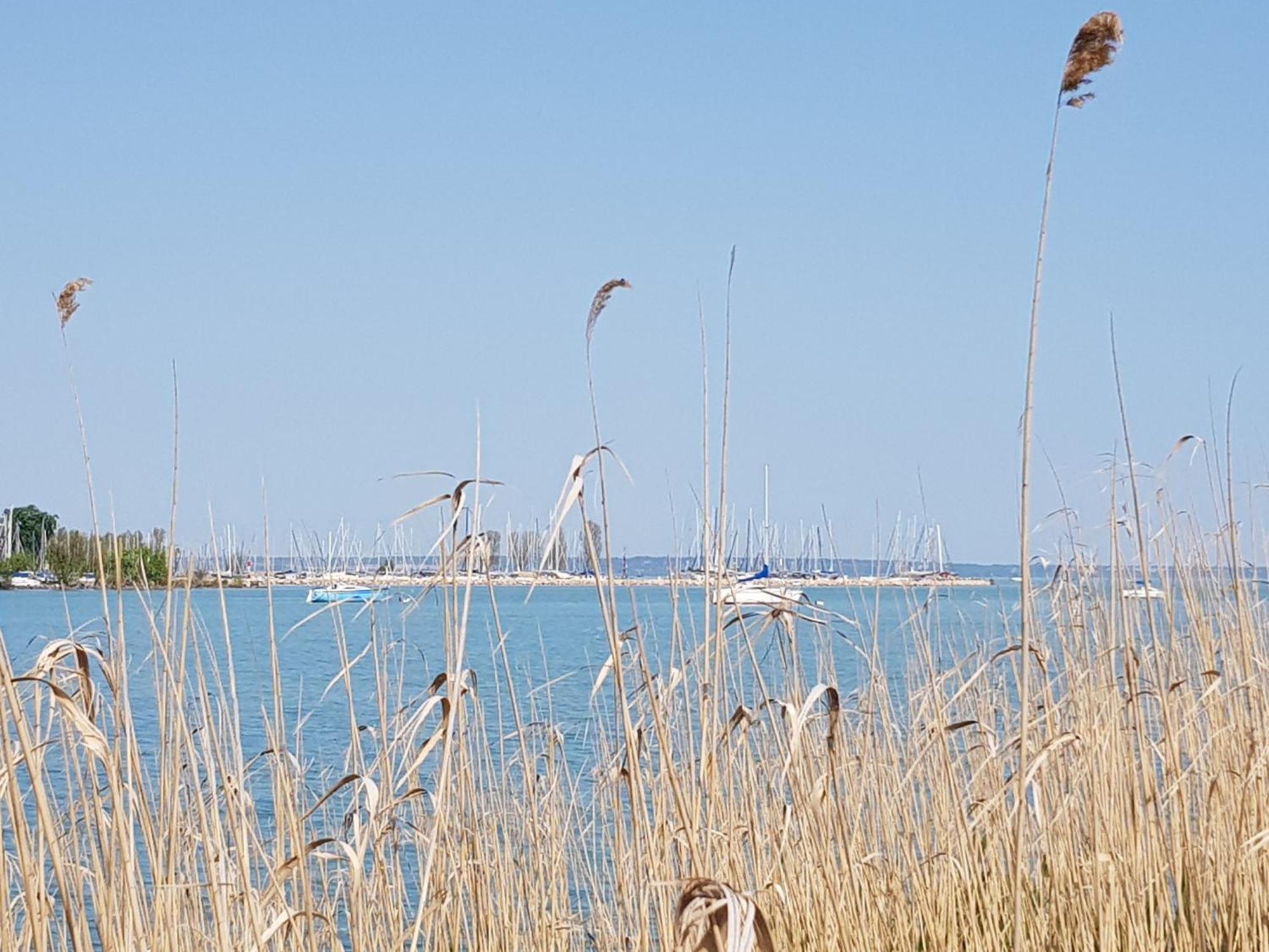 Coastline Balaton Apartment Alsóörs Eksteriør billede